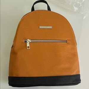 Amy Miller Orange and Black Women's Backpack